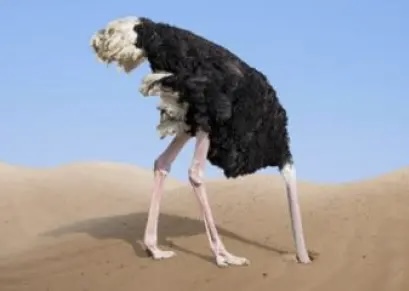 قاسم أصبح مثل النعامة التي تضع رأسها في التراب معتقدة أن من حولها لا يراها